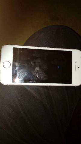 Canbio O Vendo iPhone 5 S de 32 Gb Canbio O Vendo iPhone 5 S de 32 Gb